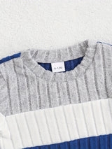 Toddler Boys 2-Piece Outfit, Spring/Autumn Knit Long Sleeve Top with Ribbed Pants, Casual Round Neck, Stretch Polyester, Color Block Design, Elastic Waistband, Baby Clothing Set, For Outdoor