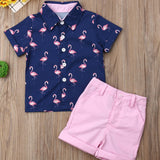Youngsters Youngsters Boys Clothes Set, Summer Youngsters Flamingo Print Shirt Top+Solid Shorts, Perfect for Outdoor