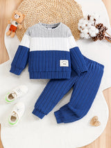 Toddler Boys 2-Piece Outfit, Spring/Autumn Knit Long Sleeve Top with Ribbed Pants, Casual Round Neck, Stretch Polyester, Color Block Design, Elastic Waistband, Baby Clothing Set, For Outdoor