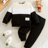 Toddler Boys 2-Piece Outfit, Spring/Autumn Knit Long Sleeve Top with Ribbed Pants, Casual Round Neck, Stretch Polyester, Color Block Design, Elastic Waistband, Baby Clothing Set, For Outdoor