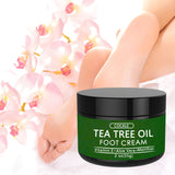 [Natural Moisturizing Cream] COCALE Tea Tree Oil Moisturizing Cream | Hypoallergenic Body, Foot & Face Cream with Aloe Vera, Hyaluronic Acid & Honey - 2oz, Light Beige Hydration, Natural Ingredient Design
