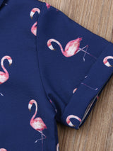 Youngsters Youngsters Boys Clothes Set, Summer Youngsters Flamingo Print Shirt Top+Solid Shorts, Perfect for Outdoor