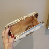 Flower Embroidery Pearl Chain Clutch Bag, Elegent Textured Metal Frame Bag, Classic Celebrity Dinner Evening Bag