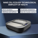 Terahertz Bioresonance Instrument Tera Foot Therapy Device with Terahertz Bioterra Energy Qi Xuetong