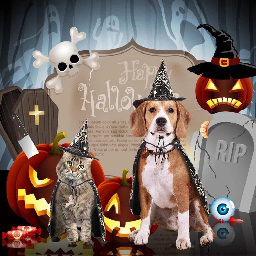 Cool Pumpkin Pet Halloween Costumes Cape Adjustable Bat Cats Cosplay Clothes Black Soft Halloween Dog Cloak Hat Dogs