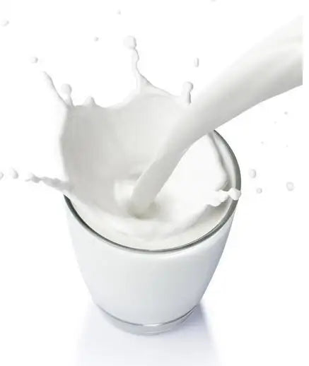 Automatic Vacuum Pump Cow Milking Machine