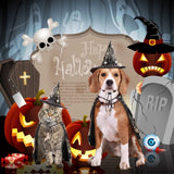 Cool Pumpkin Pet Halloween Costumes Cape Adjustable Bat Cats Cosplay Clothes Soft Black Halloween Dog Cloak Hat Cats