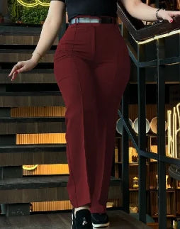 Women's Pants Autumn Fashion New Pants High Waist Straight Leg Work Pants Temperament Commuting Slim Fit Elegant Pants
