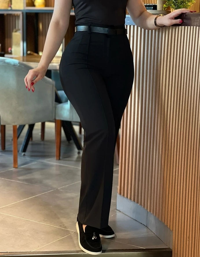 Women's Pants Autumn Fashion New Pants High Waist Straight Leg Work Pants Temperament Commuting Slim Fit Elegant Pants
