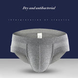 Men Briefs Underwear Men's Sexy Breathable Brief Underpants Modal Comfortable Mens Briefs Underwear Shorts Cueca Male Panties