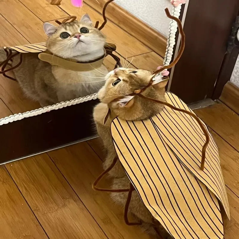Creative Cute Pet Clothes Cockroach Costume Cosplay Cats Dogs Party for Halloween Pet Supplies Cosplay