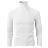 New Men's Turtleneck Pullover Sweater Autumn Long Sleeve Casual Fashion Stripe Knitted Sweater for Men Winter Warm Streetwear