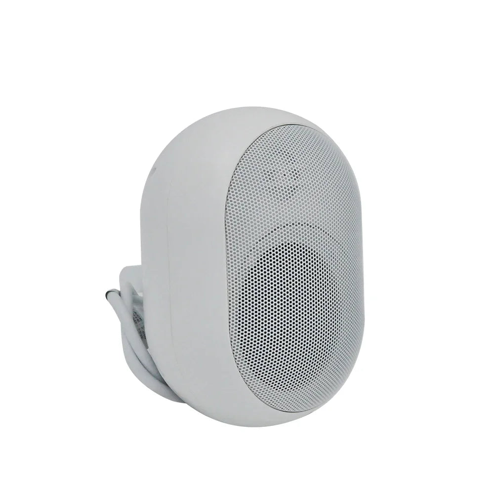 Passive Outdoor Speaker Waterproof Wired 2 Way 16Ohm Premium Mountable Wall Mount Speakers On-wall Durable For Patio Marine Boat