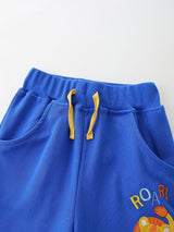 Toddler Boys Shorts 2 Piece Lion Animal Bird Graphic Cotton Casual Pants with Pockets Summer Outfit Kid Clothes